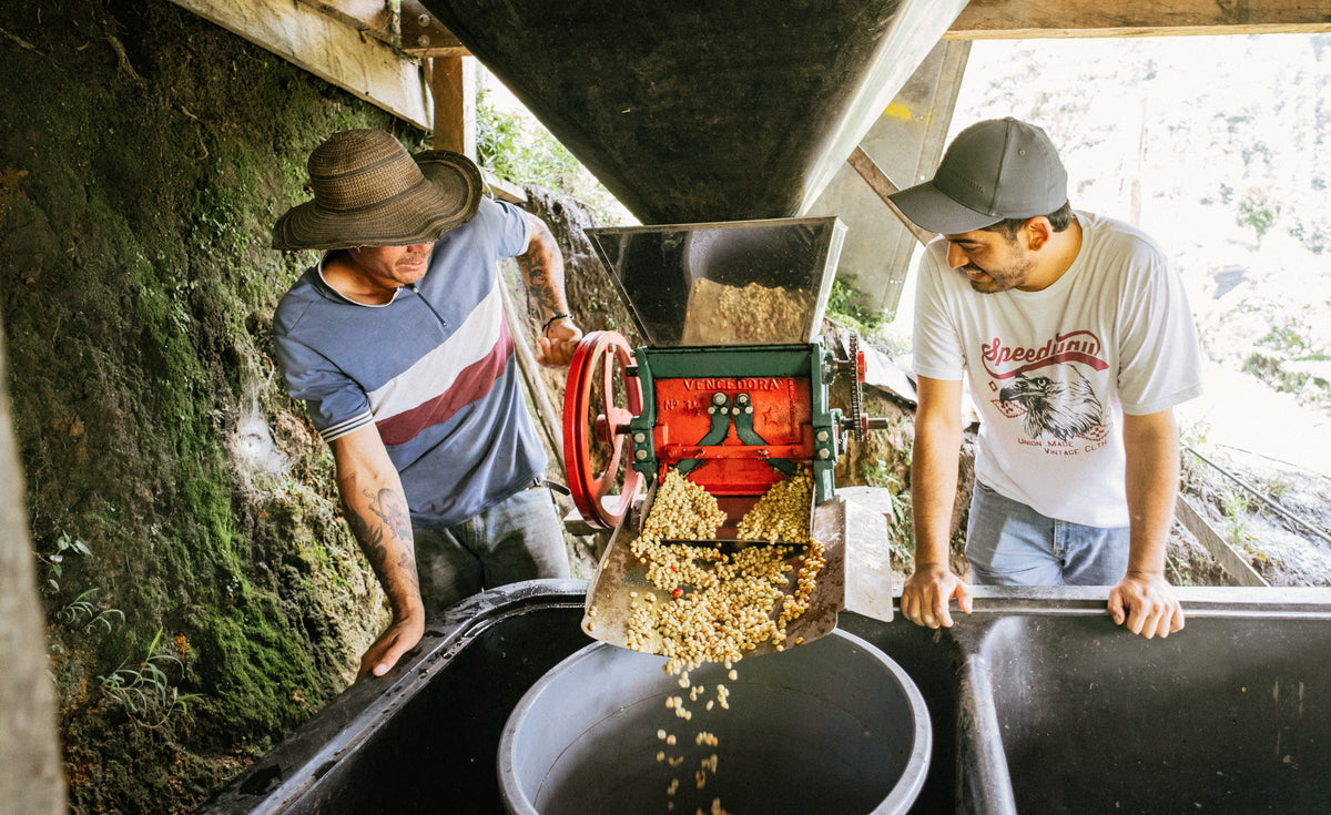 Colombia Proyecto Renacer