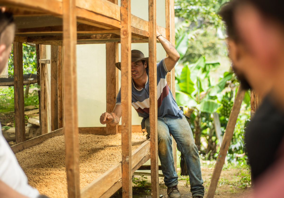 Colombia Proyecto Renacer